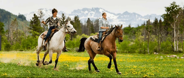 Confident plus-size woman riding Rowley Regis a horse through a field with a smile on her face.